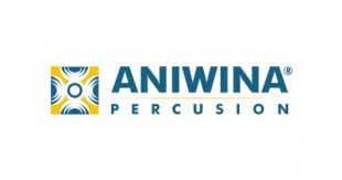 Diseño de logotipo e imagen corporativa para Aniwina Percusión